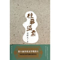 书籍 往事温柔的封面