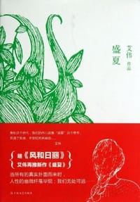 书籍 盛夏的封面