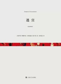 书籍 迷宫的封面