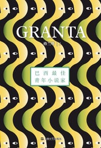 书籍 格兰塔3·巴西最佳青年小说家的封面