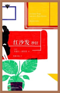 书籍 红沙发的封面