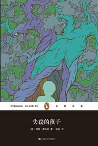 书籍 失窃的孩子的封面