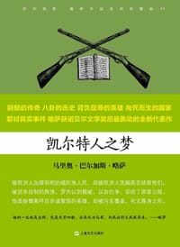 书籍 凯尔特人之梦的封面