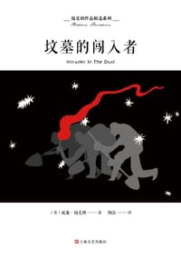 书籍 坟墓的闯入者的封面