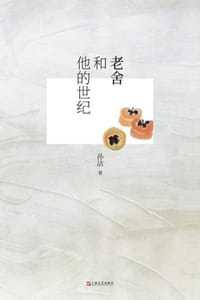 书籍 老舍和他的世纪的封面