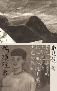 书籍 鸭镇往事的封面
