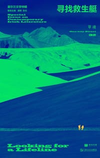 寻找救生艇（爱尔兰文学特辑） - 无名图书