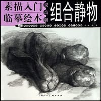 组合静物-素描入门临摹绘本