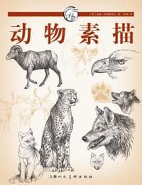 书籍 动物素描的封面