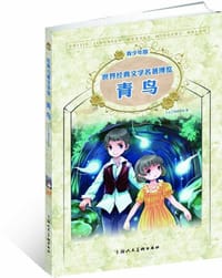 书籍 青鸟的封面