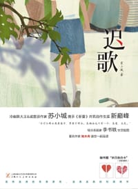 书籍 迟歌的封面