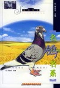 名鸽名系
