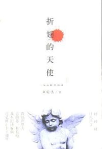 折翅的天使