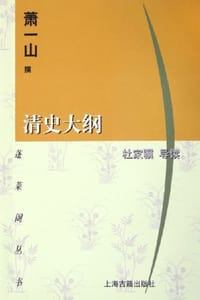 书籍 清史大纲的封面