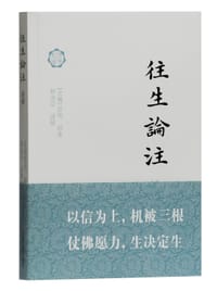 《往生论注》述解