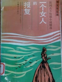 书籍 一个女人的报复的封面