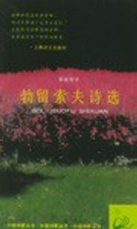 书籍 勃留索夫诗选的封面