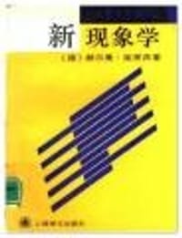 书籍 新现象学的封面