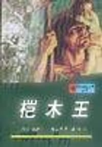 书籍 桤木王的封面