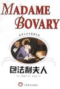 书籍 包法利夫人的封面