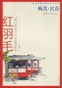 红羽毛 - 梅芙·宾奇