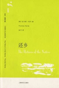 书籍 还乡的封面