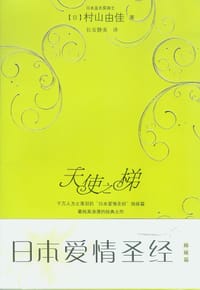 书籍 天使之梯的封面