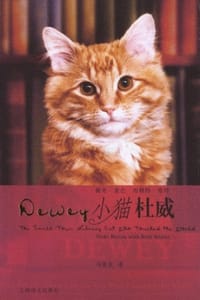 书籍 小猫杜威的封面