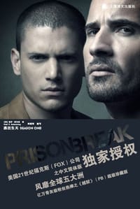 书籍 越狱的封面