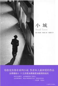 书籍 小城的封面