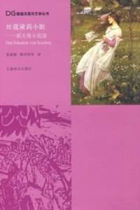 书籍 丝蔻黛莉小姐的封面