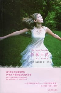 书籍 折翼天使的封面