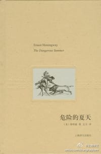 书籍 危险的夏天的封面