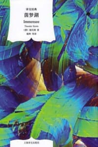 书籍 茵梦湖的封面