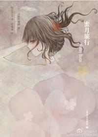 书籍 蜜月旅行的封面