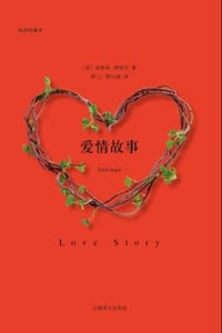 书籍 爱情故事的封面