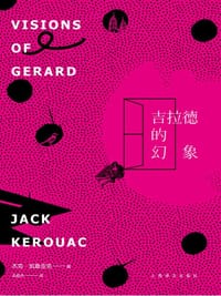 书籍 吉拉德的幻象的封面