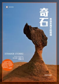 书籍 奇石的封面