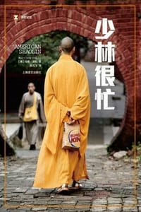 少林很忙 - [美] 马修·波利