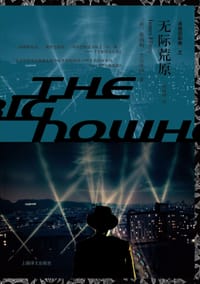 书籍 无际荒原的封面