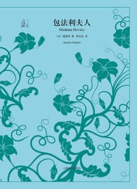 书籍 包法利夫人的封面