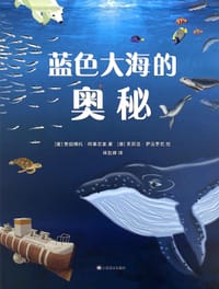 蓝色大海的奥秘