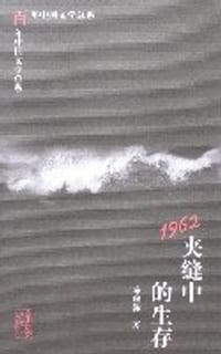 书籍 1962:夹缝中的生存的封面