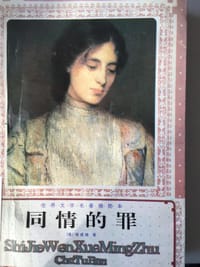 书籍 同情的罪的封面