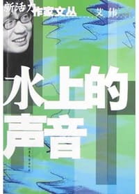 书籍 水上的声音的封面