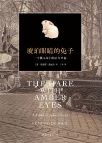 琥珀眼睛的兔子