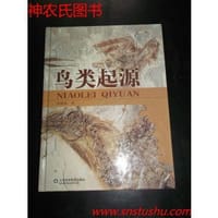 鸟类起源