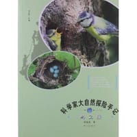 书籍 鸟之巢的封面