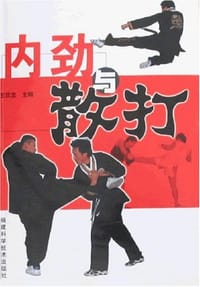 书籍 内劲与散打的封面