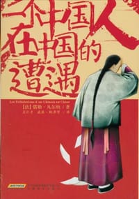 书籍 一个中国人在中国的遭遇的封面